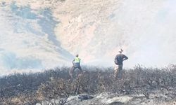 Bingöl’de çıkan yangınlar kısa sürede söndürüldü
