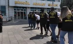 Bingöl'de hırsızlık operasyonu: 10 şüpheli yakalandı
