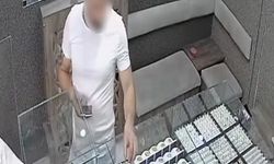 Bingöl’de hırsızlık şüphelisi tutuklandı