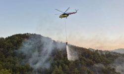 Bolu'da orman yangını