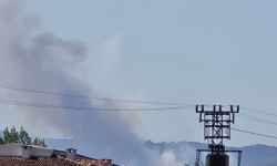 Bursa'da orman yangını
