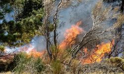 Hatay Antakya'da orman yangını
