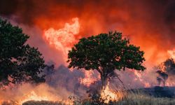İspanya’da Galiçya bölgesi afet bölgesi ilan ediliyor