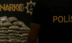 İstanbul’da 75 kilogram skunk ele geçirildi: 2 gözaltı