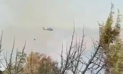 Malatya Valisi Yavuz: Bir alan dışında yangın kontrol altında alındı
