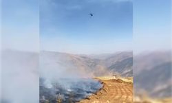 Malatya'daki orman yangınına havadan ve karadan müdahale sürüyor