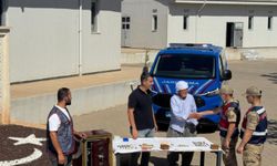 Mardin’de 3 milyon değerinde çalınan ziynet eşyaları gömülü şekilde bulundu