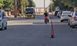 Mardin’de yolda oluşan göçüğe vatandaş fidan dikti