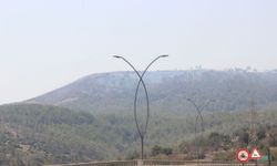 Mersin'de alevlerle zaman yarışı: 6 mahalle tahliye edildi