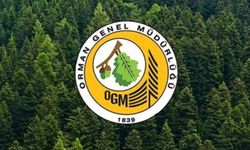 OGM’den hava araçları ve yanan orman alanlarıyla ilgili açıklama