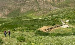 Pervari'de mera ıslah ve amenajman projesi hayata geçirildi
