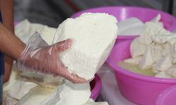 Peynir fiyatlarındaki artış tüketiciyi ucuz ve sağlıksız ürüne yöneltiyor