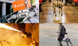 Robot köpeklerin kullanım alanı hızla genişliyor