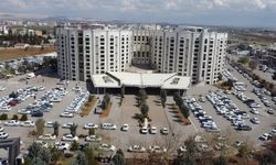 Şanlıurfa’da bahar alerjisi uyarısı