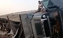 Şanlıurfa’da hayvan yüklü tır devrildi