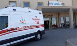 Şanlıurfa’da trafik kazasında bir çocuk hayatını kaybetti