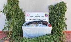 Şanlıurfa’da uyuşturucu ve silah operasyonu
