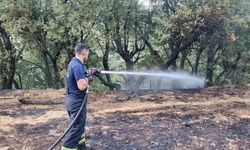 Siirt’te orman yangını: 30 hektarlık alan kül oldu