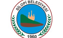 Silopi Belediye Başkanı Orrmanlı, partisinden ihraç edildi