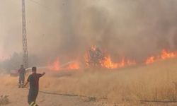 Şırnak’ta orman yangını: Havadan ve karadan müdahale ediliyor