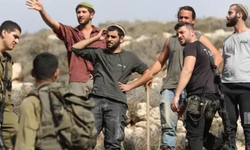 Yahudi çeteler Kfar Malik ve Tayibe'yi hedef aldı: Bir kişi yaralandı, yüzlerce hayvan çalındı