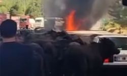 Adana’da büyükbaş hayvan taşıyan tır alev aldı