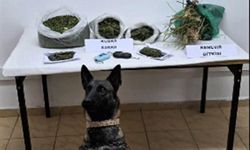 Batman'da uyuşturucu operasyonunda bir kişi tutuklandı