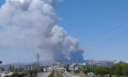 Bursa’da orman yangını kontrol altına alındı