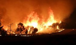 Çanakkale'de orman yangını