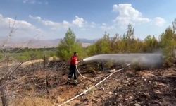 Elazığ'da ormanlık alanda çıkan yangın büyümeden söndürüldü