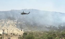 Gaziantep’teki orman yangını kontrol altına alındı
