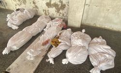 Katil rejim Filistinlileri katlediyor: Sabahtan bu yana 49 şehit