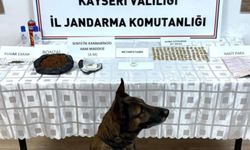 Kayseri'de tarihi eser operasyonu: 1 gözaltı