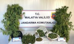 Malatya'da uyuşturucu ve tarihi eser operasyonu: 1 tutuklama