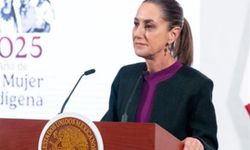 Meksika, iki ölümle sonuçlanan ABD'nin göçmen baskınlarını kınadı