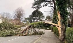 Meteorolojiden sağanak ve rüzgâr uyarısı