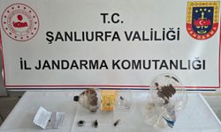 Şanlıurfa’da jandarmadan uyuşturucu operasyonu
