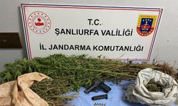 Şanlıurfa’da uyuşturucu operasyonu: 8 gözaltı