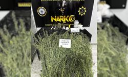 Şırnak’ta 21 kilogram uyuşturucu madde ele geçirildi