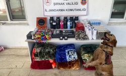 Şırnak’ta asayiş operasyonları: 145 gözaltı
