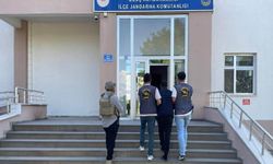 Bingöl’de 20 yıl kesinleşmiş hapis cezası bulunan şahıs yakalandı