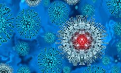 DSÖ'den M çiçeği virüsü için küresel salgın uyarısı