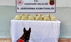 Hakkari'de uyuşturucu operasyonu: 15 kilo toz esrar ele geçirildi
