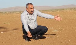 Kuraklığın vurduğu yerlerde çiftçiler devletten destek bekliyor
