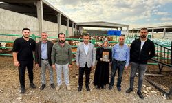 Malatyalı girişimci 48 büyükbaş hayvanla başladığı üretime kısa sürede 120'ye ulaştı