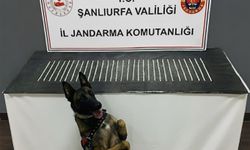 Şanlıurfa’da uyuşturucu operasyonu: 3 gözaltı