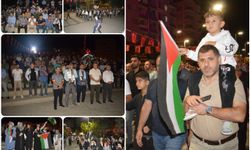 Siirt’te STK ve siyasi temsilcilerden ortak çağrı: “Somut adımlar bekliyoruz” 