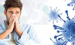 ABD'de "şiddetli grip" salgınına ilişkin endişeler artıyor