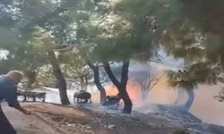 Adana Sarıçam’da orman yangını