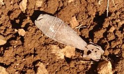 Afganistan'da işgalden kalma mühimmat patladı: 3 çocuk hayatını kaybetti